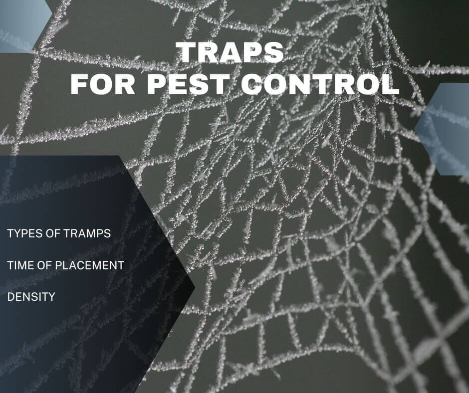 blog 26 TRAPS FOR PEST CONTROL