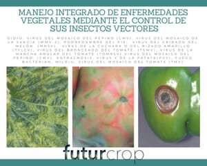 Manejo Integrado de las enfermedades de las plantas mediante el control de sus insectos vectores