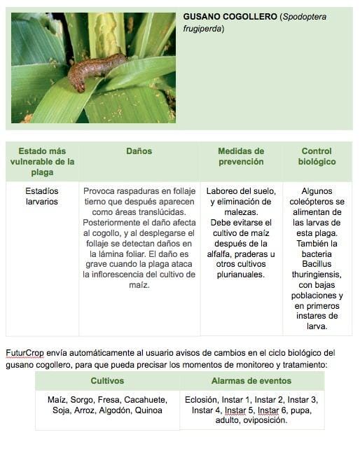 Fall armyworm FuturCrop factsheet: determine optimal timing of treatment, preventive measures and OCB