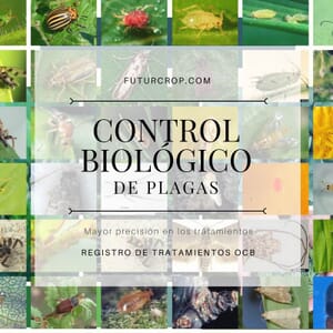 Organismos de Control Biológico para el control de plagas