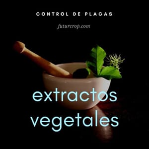 Control de plagas mediante extractos vegetales