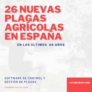 26 nuevas plagas agrícolas introducidas en España