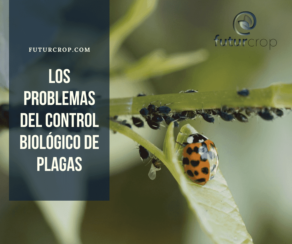 problemas del control biológico de plagas