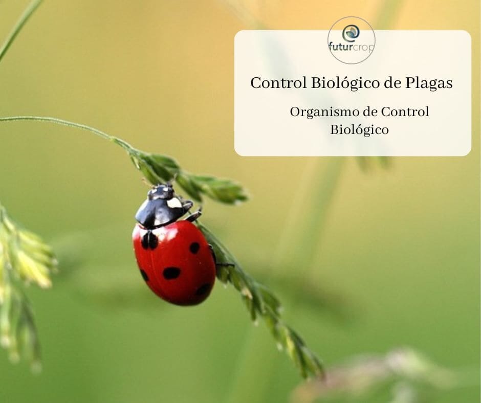 Problems in Biological Pest Control 3 Software agrícola