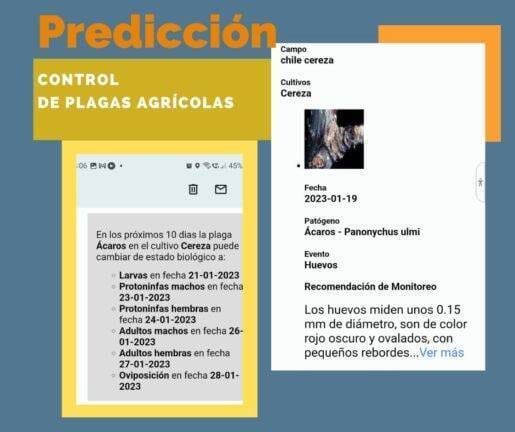 predicción de plagas agrícolas