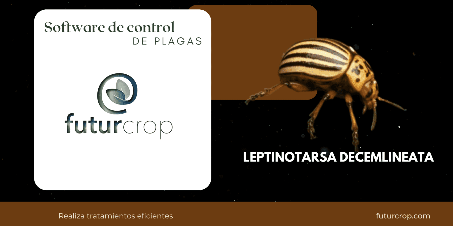 blog 18 gama de cremas eco 1