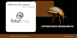 gama de cremas eco 1