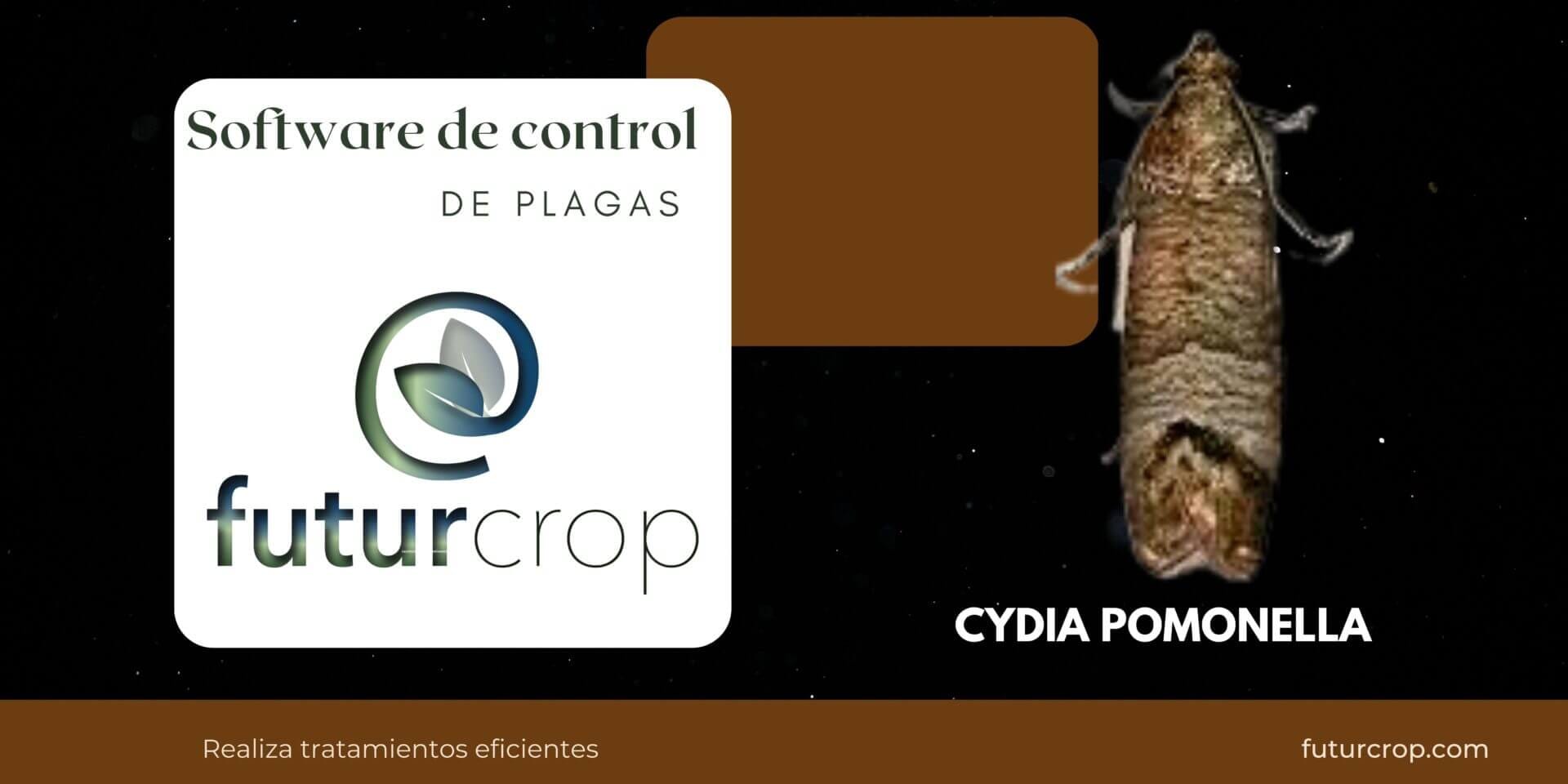 blog 24 life cycle control of codling moth