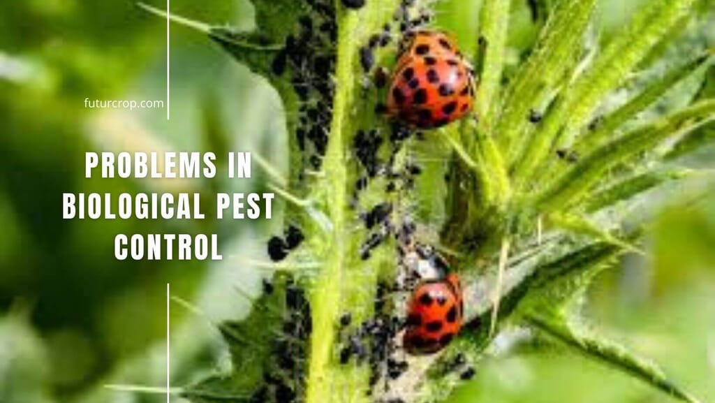 Problems in biological pest control